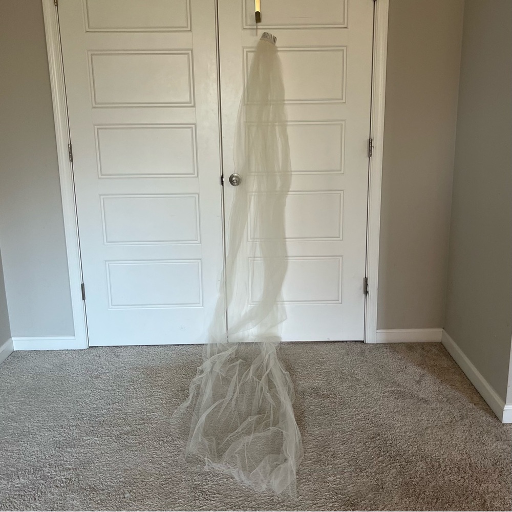 NWT Bridal Veil